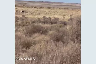 37 River Meadow Ranch -- #37, Saint Johns, AZ 85936 - Photo 8