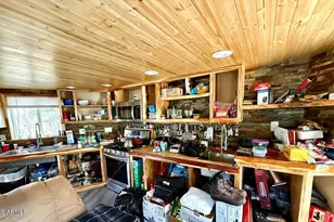 7139 E Vernon Martin Dr, Crown King, AZ 86343 - Photo 4