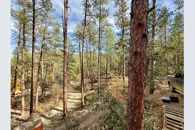 7139 E Vernon Martin Drive, Crown King, AZ 86343 - Photo 60