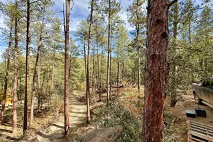 7139 E Vernon Martin Dr, Crown King, AZ 86343 - Photo 60