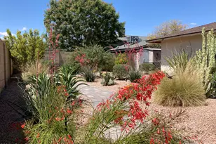 1019 E Watson Dr, Tempe, AZ 85283 - Photo 10