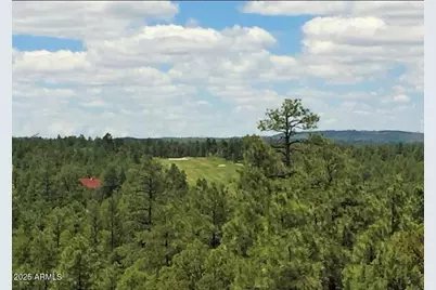 3680 W Sage Lane #260, Show Low, AZ 85901 - Photo 2