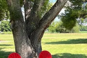 726 E River Glen Dr, Camp Verde, AZ 86322 - Photo 1