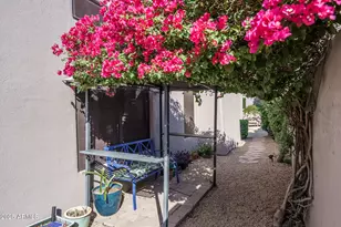 8218 E Mountain Spring Rd, Scottsdale, AZ 85255 - Photo 44