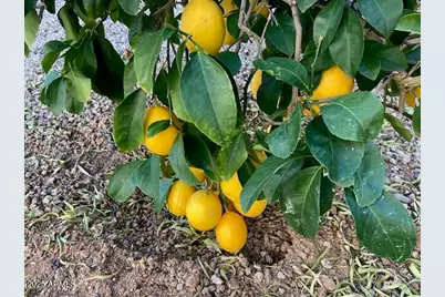 13648 W Utica Drive, Sun City West, AZ 85375 - Photo 26