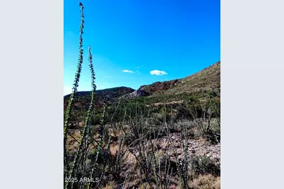 16231 E Hillton Ranch Road #-, Vail, AZ 85641 - Photo 2