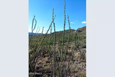 16231 E Hillton Ranch Road #-, Vail, AZ 85641 - Photo 16