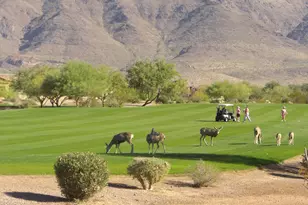 2744 S 1st Water Ln, Gold Canyon, AZ 85118 - Photo 30