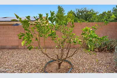 1319 E Jardin Drive, Casa Grande, AZ 85122 - Photo 42