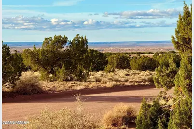 480 County Road N6400 -- #-, Saint Johns, AZ 85936 - Photo 16