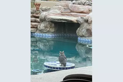 5830 E Restin Road, Carefree, AZ 85377 - Photo 62