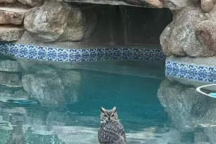 5830 E Restin Rd, Carefree, AZ 85377 - Photo 62