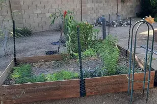 8026 E Krail St, Scottsdale, AZ 85250 - Photo 12