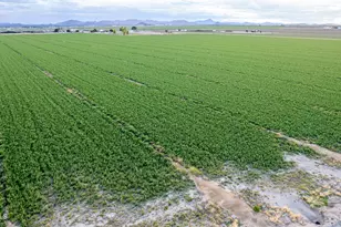 25842 W Victory St, Buckeye, AZ 85326 - Photo 58