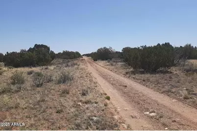 Sw 10 Acre 17Xx Buffington Hill Road #-, Heber, AZ 85928 - Photo 6