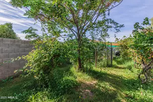 11818 N 25th Ave, Phoenix, AZ 85029 - Photo 26