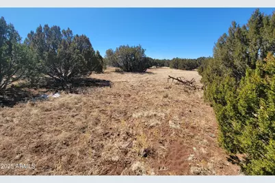 57 County Rd 8070 -- #-, Concho, AZ 85924 - Photo 8