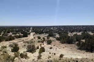 SE 10 Acre 17Xx Buffington Hill Rd, Heber, AZ 85928 - Photo 1