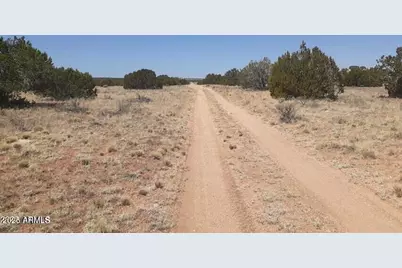 Se 10 Acre 17Xx Buffington Hill Road #-, Heber, AZ 85928 - Photo 8