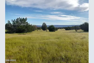 32018 W Calle Ines Parkway #-, Seligman, AZ 86337 - Photo 4