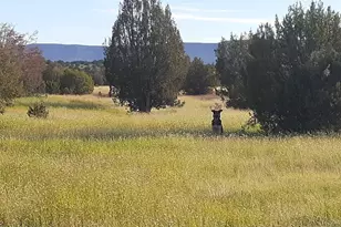 32018 W Calle Ines Pkwy, Seligman, AZ 86337 - Photo 1