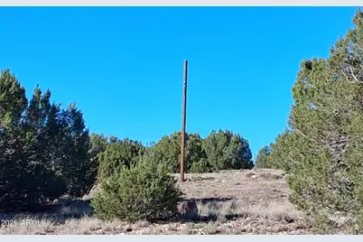 26 County Road N8171 -- #-, Concho, AZ 85924 - Photo 28