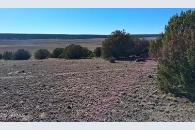 28 County Road N8171 -- #-, Concho, AZ 85924 - Photo 8