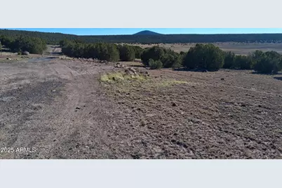 28 County Road N8171 -- #-, Concho, AZ 85924 - Photo 10