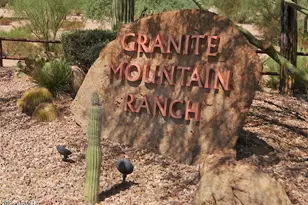 29085 N 141st St, Scottsdale, AZ 85262 - Photo 14