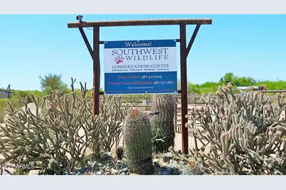 29085 N 141st Street, Scottsdale, AZ 85262 - Photo 18