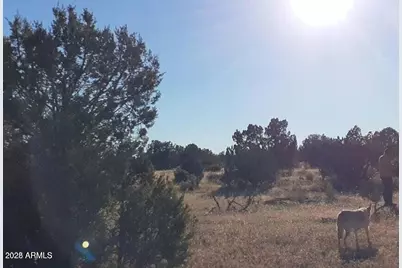 602 Denny 5 Road #-, Seligman, AZ 86337 - Photo 8