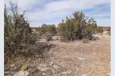 602 Denny 5 Road #-, Seligman, AZ 86337 - Photo 14