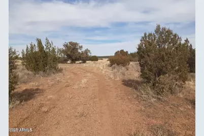 602 Denny 5 Road #-, Seligman, AZ 86337 - Photo 10