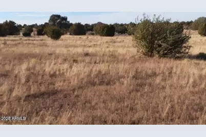 602 Denny 5 Road #-, Seligman, AZ 86337 - Photo 4