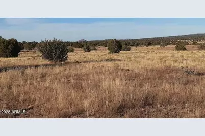 602 Denny 5 Road #-, Seligman, AZ 86337 - Photo 6