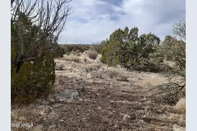 602 Denny 5 Road #-, Seligman, AZ 86337 - Photo 16