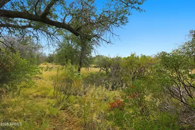 1243 E Aldwinkle Place #--, Oracle, AZ 85623 - Photo 28