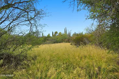 1243 E Aldwinkle Place #--, Oracle, AZ 85623 - Photo 8