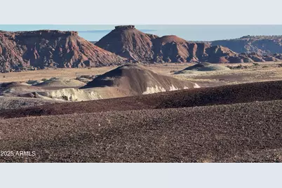 Lot #35 Bonito Valley Ranch --, Saint Johns, AZ 85936 - Photo 20