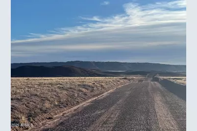 Lot #35 Bonito Valley Ranch --, Saint Johns, AZ 85936 - Photo 1