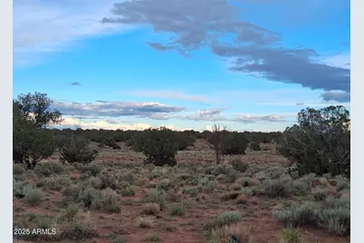 201 County Rd N5380 -- #-, Concho, AZ 85924 - Photo 14