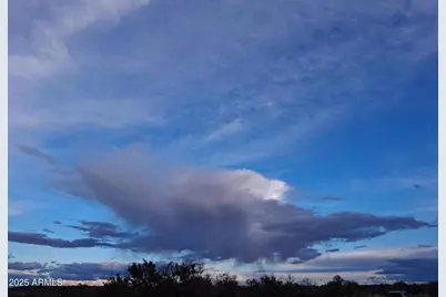 203 County Rd N5380 -- #-, Concho, AZ 85924 - Photo 24