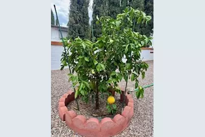 91 E Los Mangos --, Green Valley, AZ 85614 - Photo 10