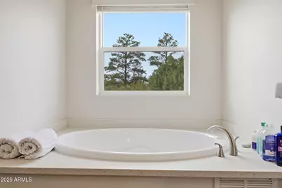 5428 Gray Wolf Drive, Lakeside, AZ 85929 - Photo 18