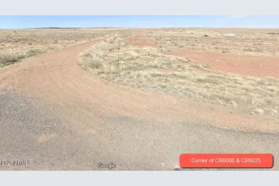 29 County Rd 6025 -- #106, Saint Johns, AZ 85936 - Photo 4