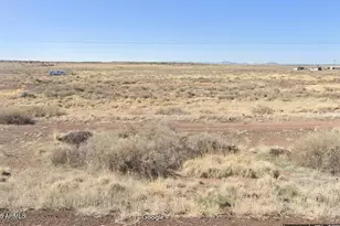 29 County Rd 6025, Saint Johns, AZ 85936 - Photo 1