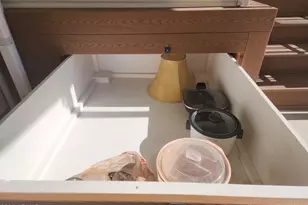 524 E Barrel Cactus Ln, Florence, AZ 85132 - Photo 114