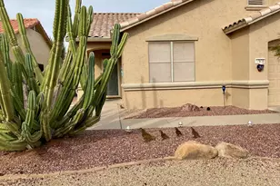 17970 W Deneen Way, Surprise, AZ 85374 - Photo 6