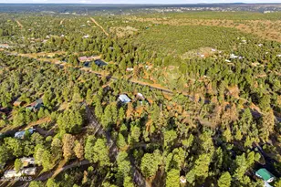 3051 State Route 277 --, Overgaard, AZ 85933 - Photo 34