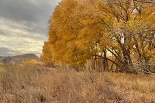 2955 S Sexton Ranch Rd, Cornville, AZ 86325 - Photo 60